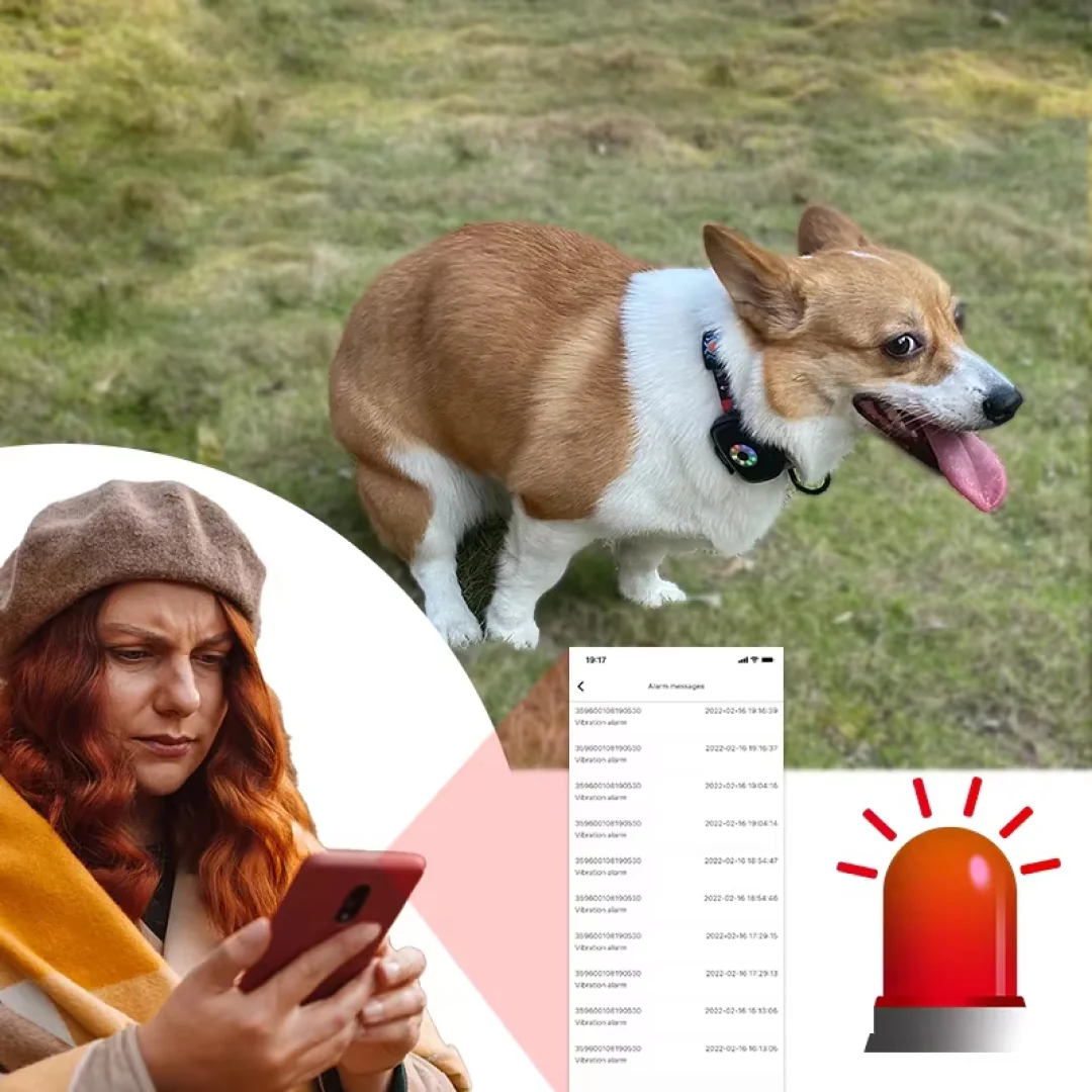 DogFenly - Image 10