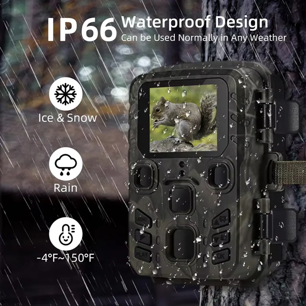 TrackaPix - Image 6